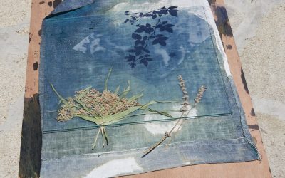 Le Cyanotype à St Benoit