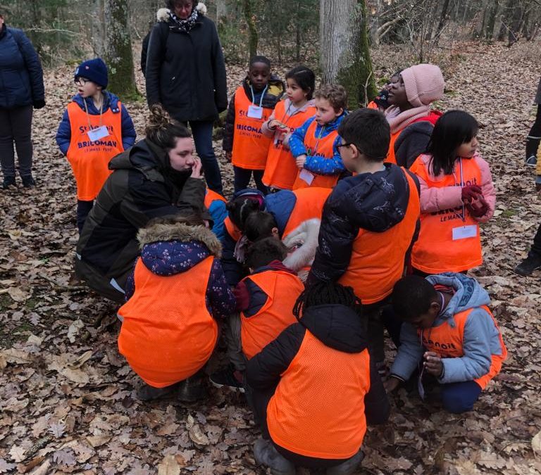 « Chercher la petite bête »
